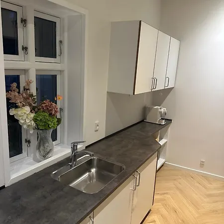 Lägenhet Stayroyal Kolding